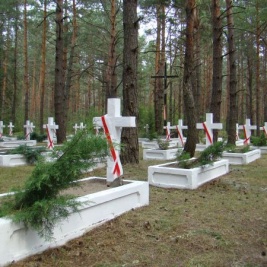 Powiększ obraz: Cmentarz legionowy w „Polskim Lasku” koło Kostiuchnówki (Ukraina) 