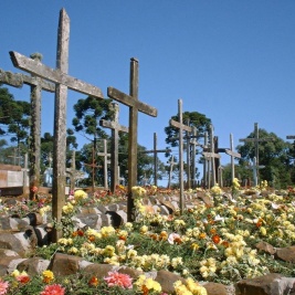 Powiększ obraz: Brazylia, cmentarz polskich uchodźców w Patio Velho.