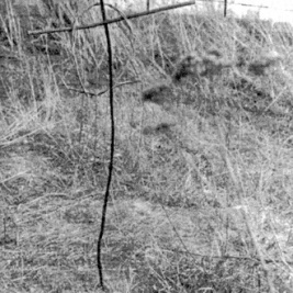 Powiększ obraz: Rosja, Grób gen. Kazimierza Tumidajskiego, jeńca obozu specjalnego NKWD w Diagilewie, zamęczonego 4 lipca 1947 r. 